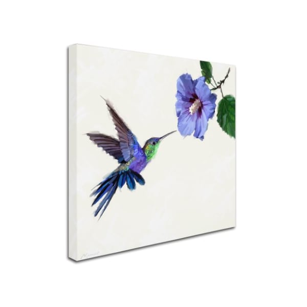 The Macneil Studio 'Humming Bird' Canvas Art,18x18